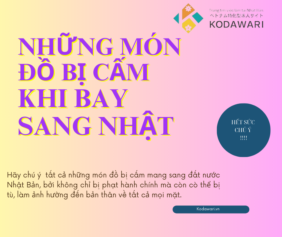 NHỮNG MÓN ĐỒ BỊ CẤM KHI BAY SANG NHẬT BẢN-HÃY THẬT CHÚ Ý!!!