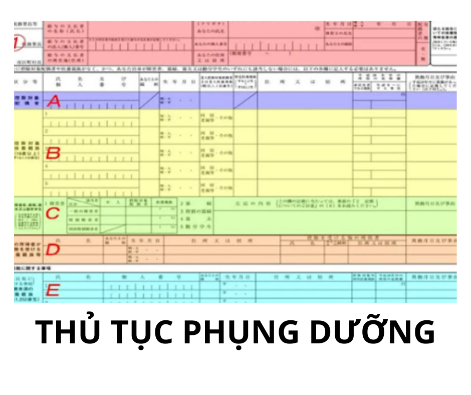 (PHẦN 2) THỦ TỤC PHỤNG DƯỠNG-HOÀN THUẾ CUỐI NĂM